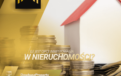 Ile jest opcji inwestowania w nieruchomości?